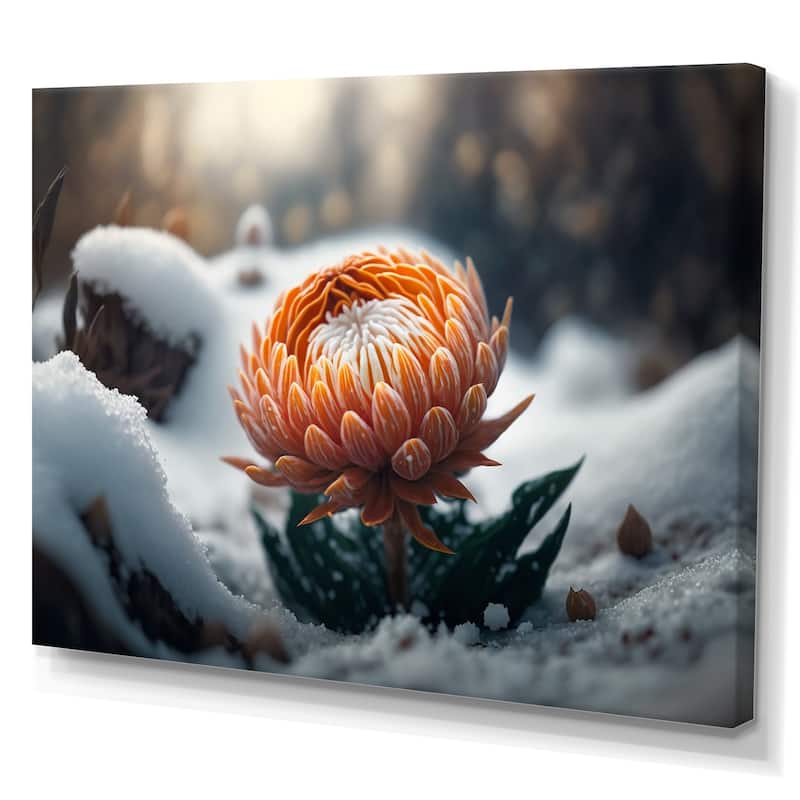 Designart 'A Blooming Orange Dahlia Flower In Winter II' Floral ...