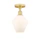Option Cased Matte White / Satin Gold