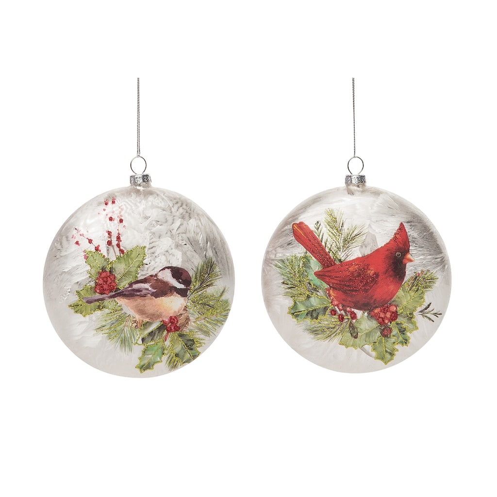 Transpac Glass 5.5 in. Multicolored Christmas Silky Bird Ornament Set of 2
