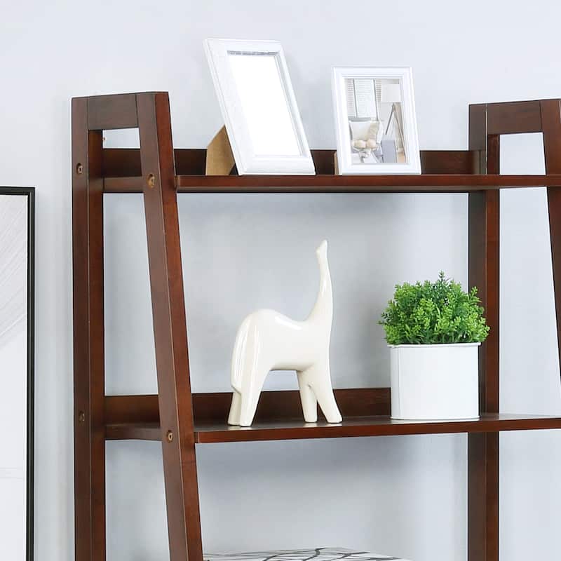 Stryi Contemporary 5-Tier Ladder Open Back Bookshelf by Copper Grove