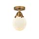 Option Brushed Brass / Matte White