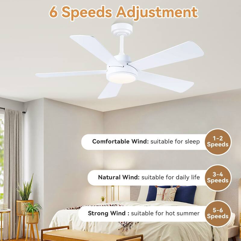 46 and 52 Inch Modern Ceiling Fan with LED and Remote 5 Plywood Dual Side Blades Remote and APP Control for Living Room Bedroom