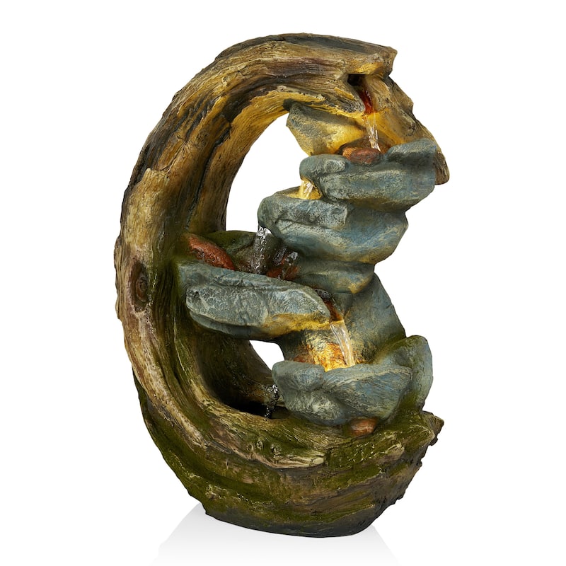 Curved Trunk and Stone Fountain