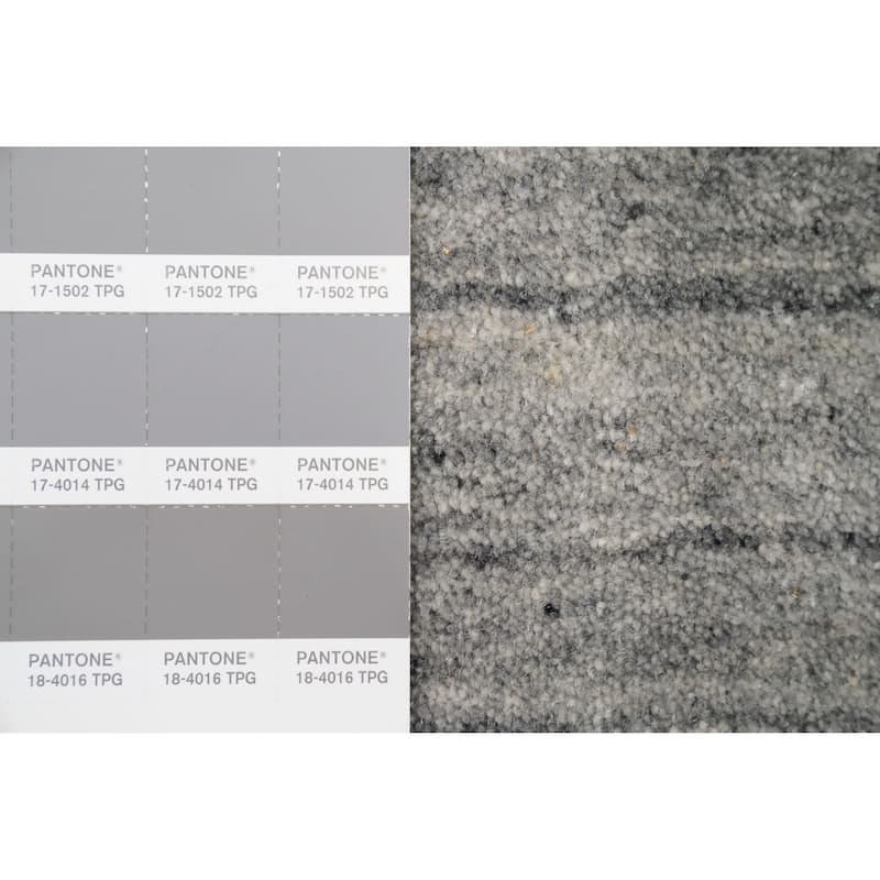 Hand Knotted Oriental 100% Wool Carpet Tribal Animal Pictorial Greys & Charcoal Gabbeh Area Rug - 4' 0'' X 2' 0''