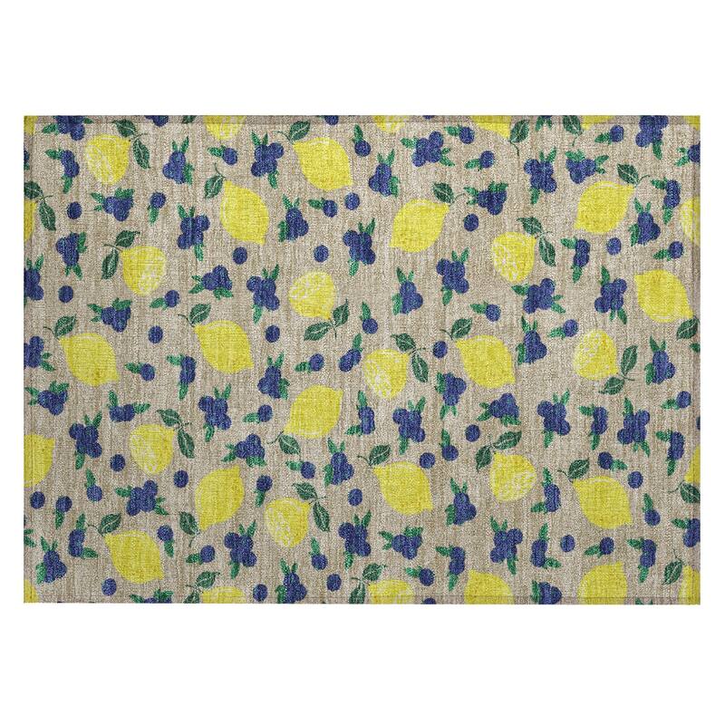 Machine Washable Indoor/ Outdoor Citrus Berry Chantille Rug