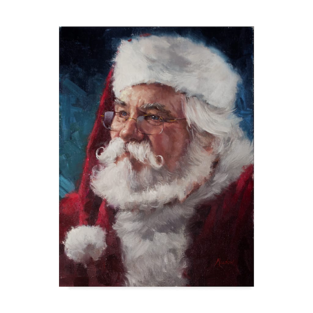 Meadowpaint 'Elderly Santa Portrait' Canvas Art