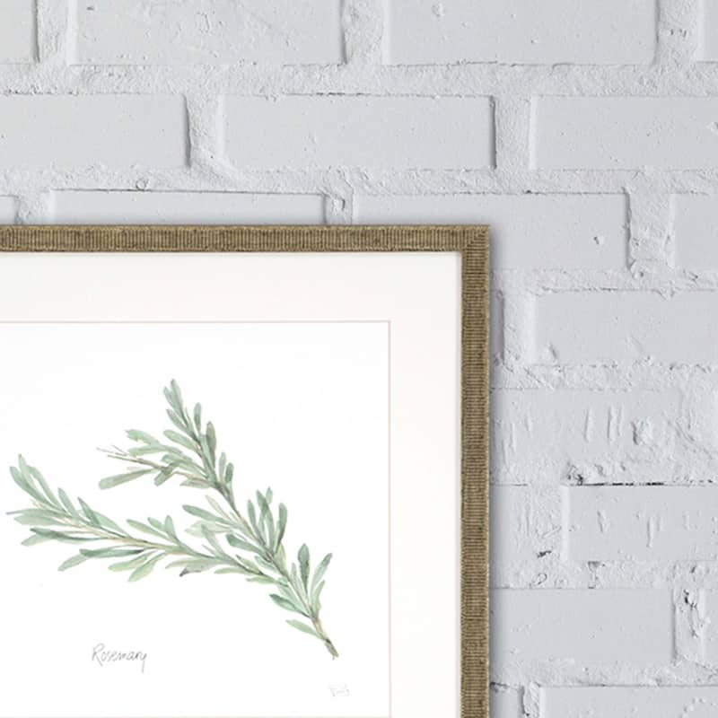 Herbs S/4 Framed Art Under Glass - Green