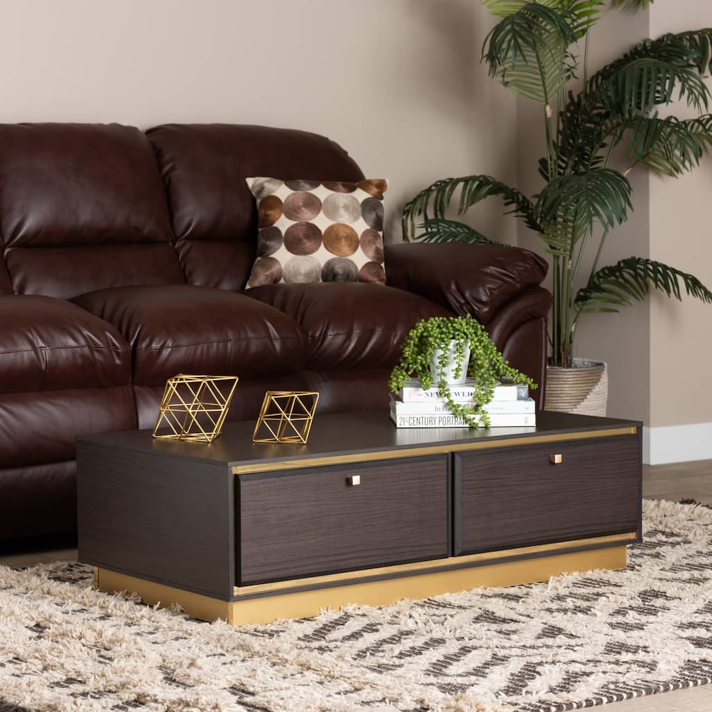 Cormac Transitional Wood and Metal 2-Drawer Coffee Table