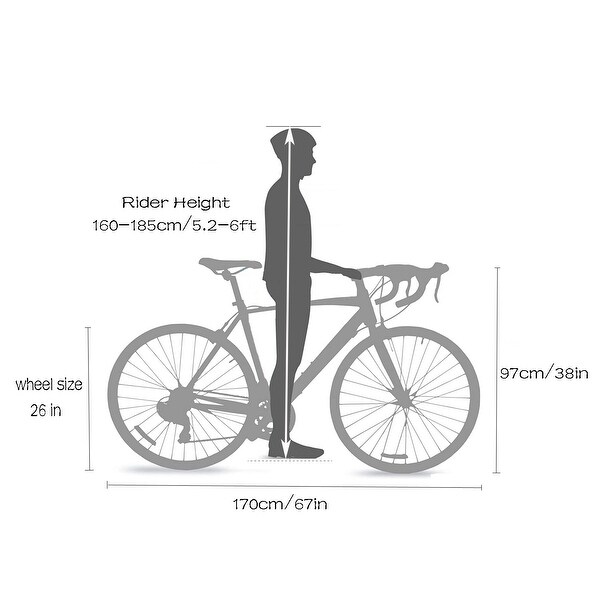 6ft bike store frame size