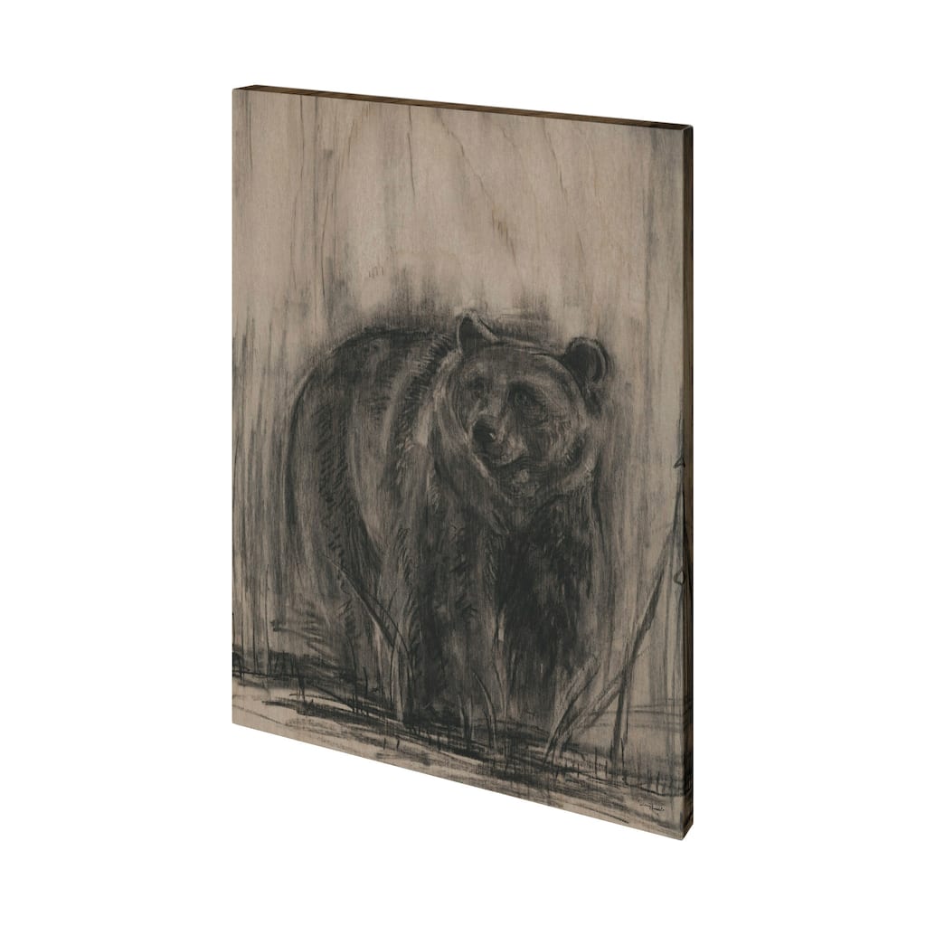 Bear & Moose II (36 x 48) Canvas Art Print