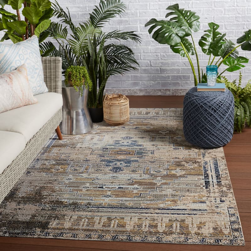 Cicero Indoor and Outdoor Medallion Area Rug