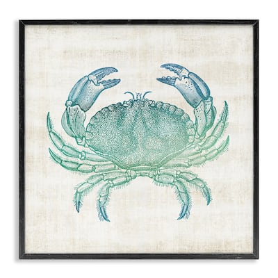 Stupell Ombre Crab Impression Framed Giclee Art Design By Susan Arnot