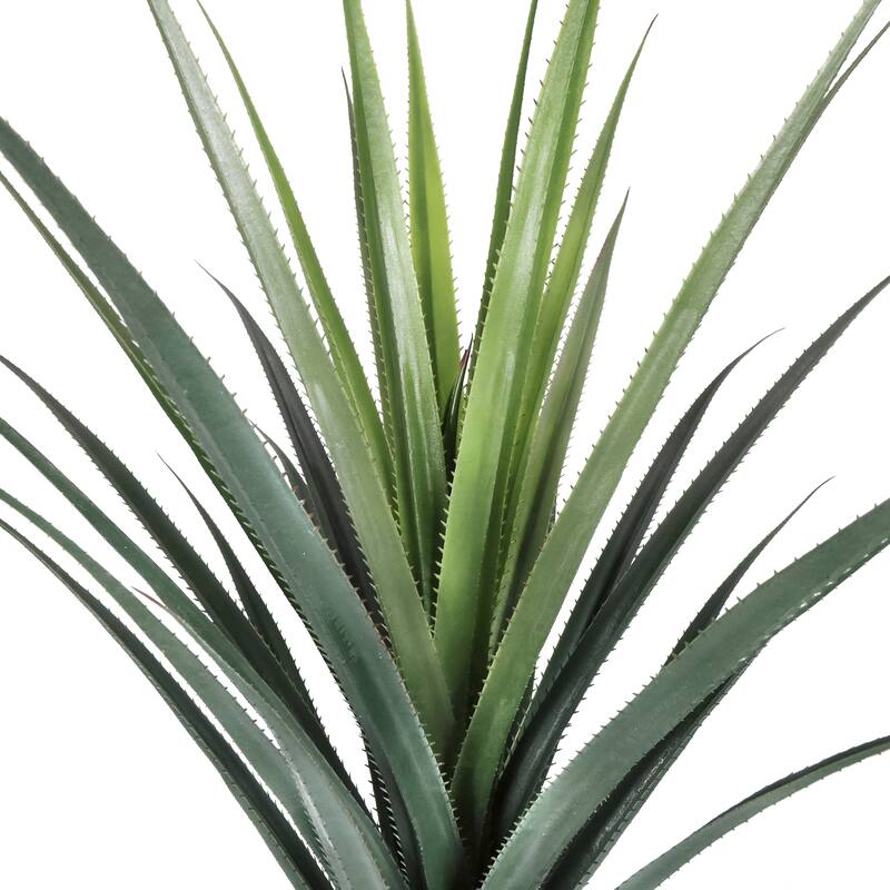 52in Artificial Agave Succulent Plant with Bottle Trunk in Black Pot - 52" H x 38" W x 38" DP