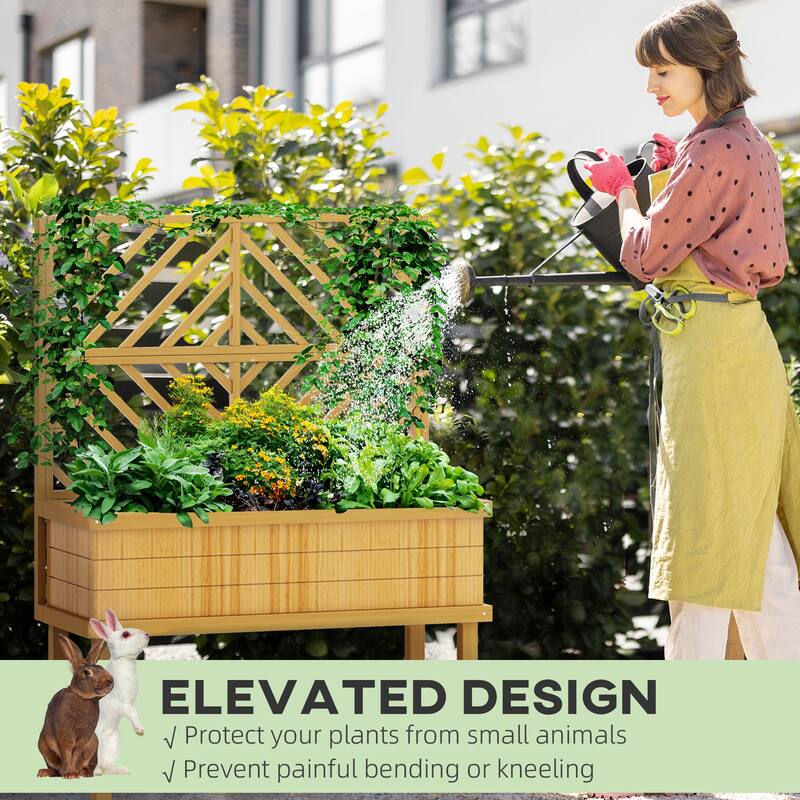 Fir Wood Raised Garden Bed with Back Trellis 41 Inch Elevated Planter for Climbing Plants - 41.25" W x 17.75" D x 55" H