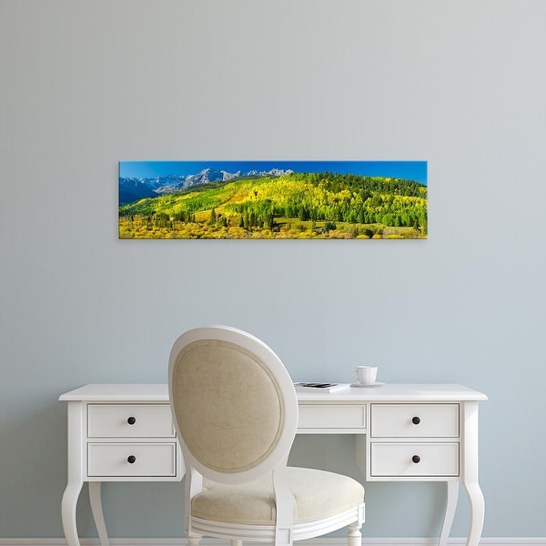 Easy Art Prints Panoramic Images's 'Aspen trees on mountains, Uncompahgre National Forest, Colorado, USA' Canvas Art