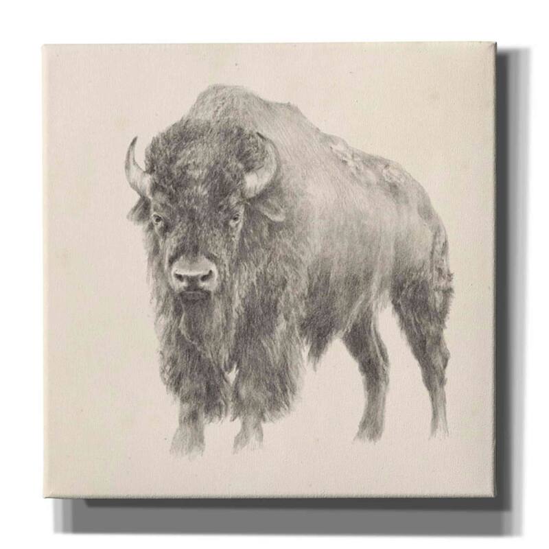 Epic Graffiti 'Western Bison Study' by Ethan Harper, Canvas Wall Art - 12x12