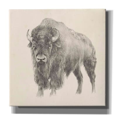 Epic Graffiti 'Western Bison Study' by Ethan Harper, Canvas Wall Art