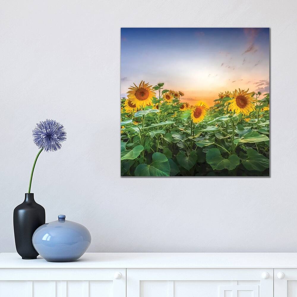 iCanvas "Sunflowers - Lovely Evening Mood" by Melanie Viola Canvas Print