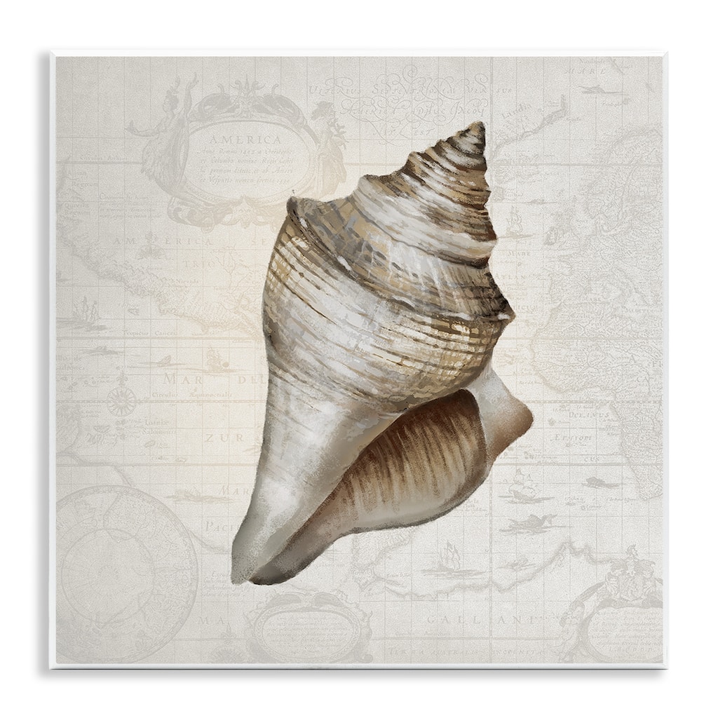 Stupell Conch Shell over Vintage Map Wall Plaque Art Design By Conrad Knutsen
