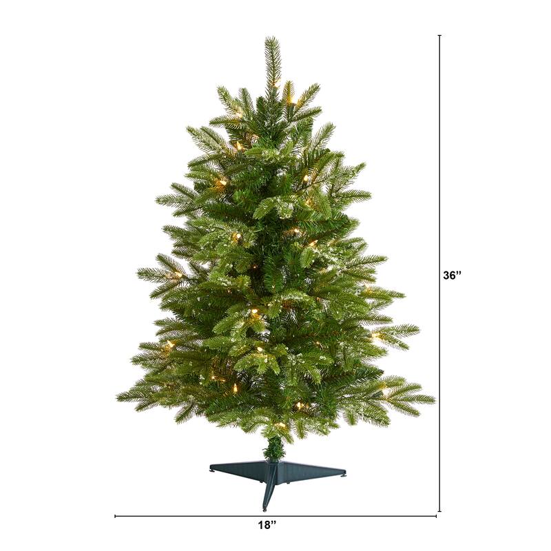 3' Snowed Grand Teton Fir Christmas Tree with 50 Clear Lights - Green