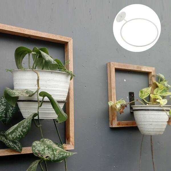 3pcs Flower Pot Holder, Ring Wall Mounted Plant Stand Rack - White - Bed  Bath & Beyond - 36073998