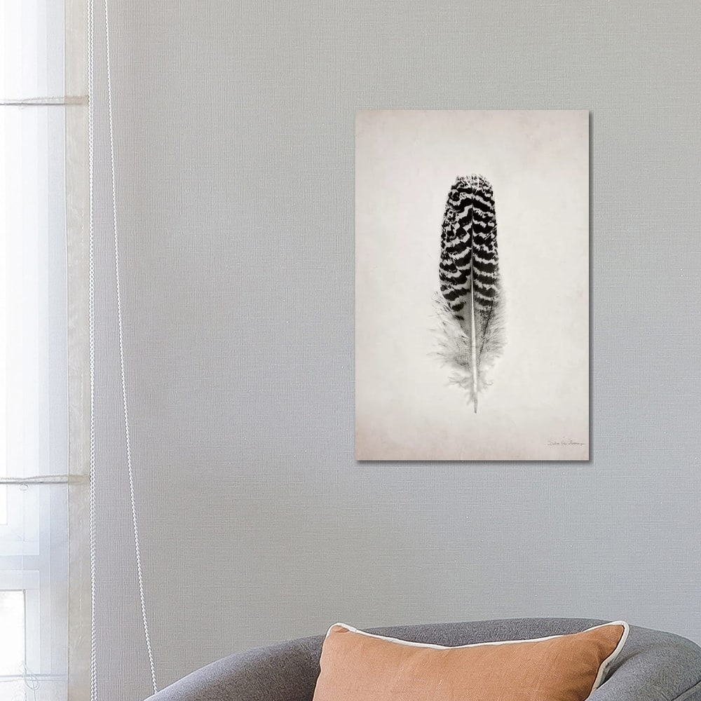 iCanvas "Feather I" by Debra Van Swearingen Canvas Print