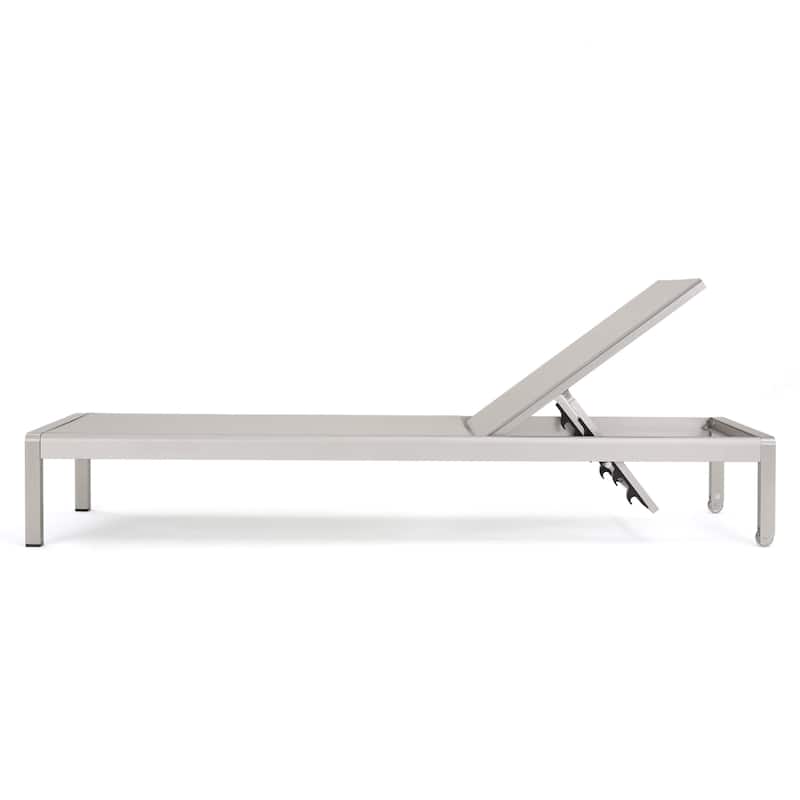 Cape Coral Mesh Chaise Lounges (Set of 2) by Christopher Knight Home