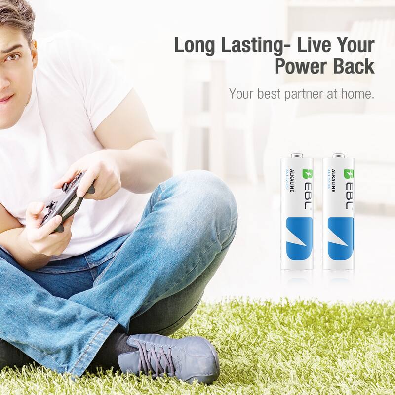 EBL AA 2700mah 1.5V non-rechargeable Alkaline Battery, 28 Pack - silver