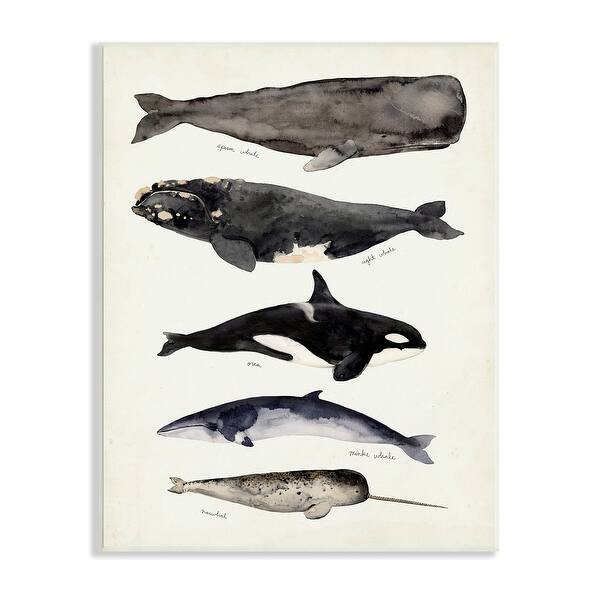 Stupell Industries Vintage Watercolor Whale Chart Large Aquatic Animals Wood Wall Art - On Sale - Overstock - 34153963 Stupell Industries Vintage Watercolor Whale Chart Large Aquatic Animals Wood Wall Art - On Sale - Overstock - 34153963
