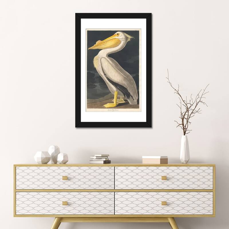 iCanvas "American White Pelican" by John James Audubon