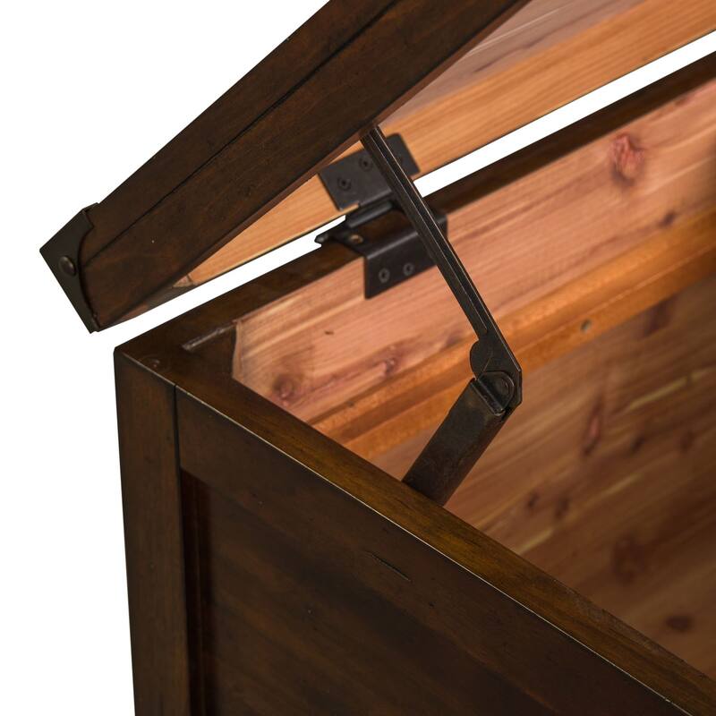 Aspen Skies Russet Brown and Metal Accents Storage Trunk