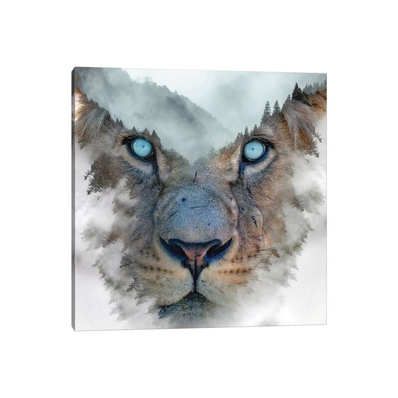 iCanvas "Lion King" by Paul Haag Canvas Print