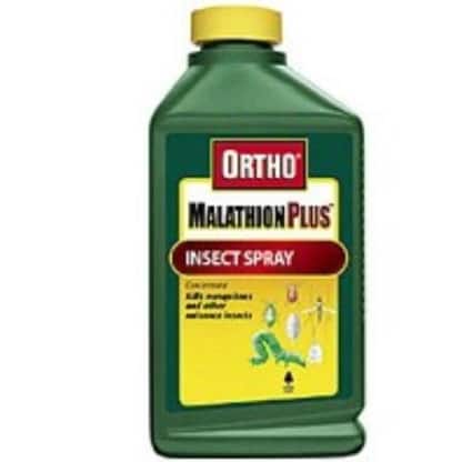 Ortho 0166610 Malathion Concentrate Insect Killer 32 Oz Overstock 20217381