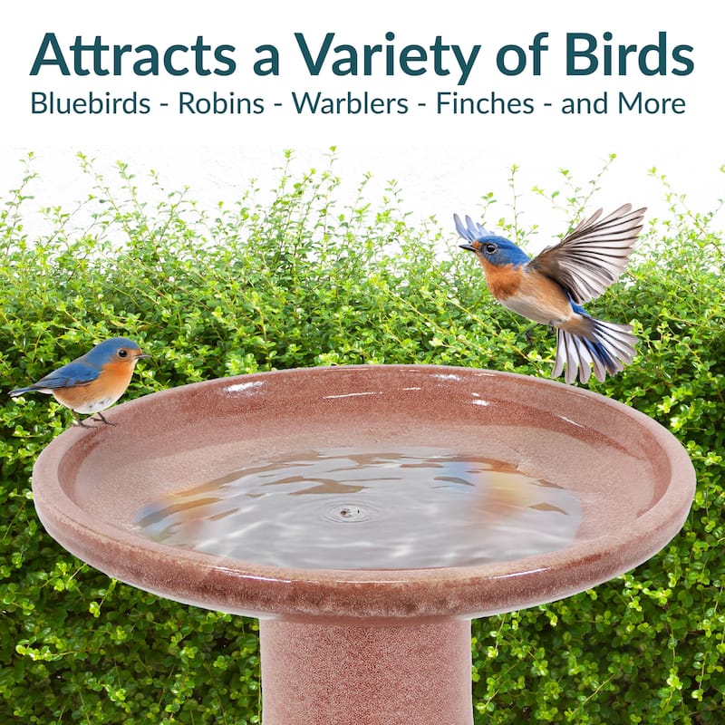 Sunnydaze Duo-Tone Ceramic Bird Bath