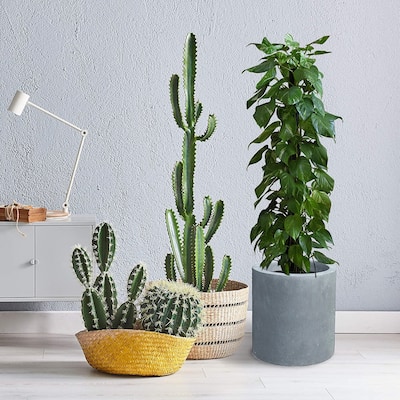 9.8"W Round Charcoal Lightweight Concrete/Fiberglass Indoor Outdoor Elegant Planter - 9.8"W x 9.8"L x 9.8"H