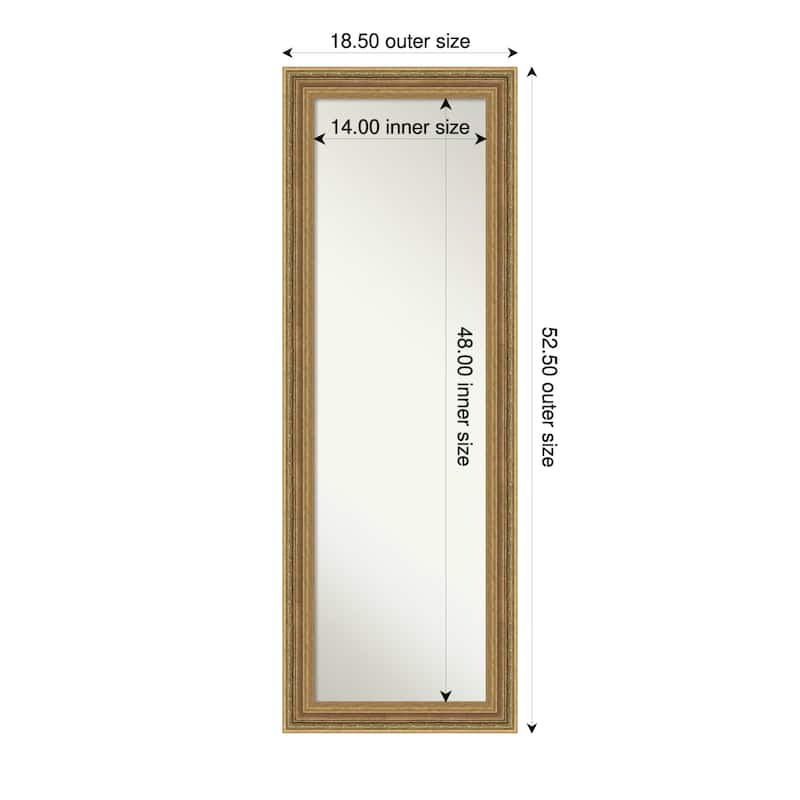 Elliot Non-Beveled Framed Full-Length On the Door Mirror - Elliot Gold - 19 x 53 in