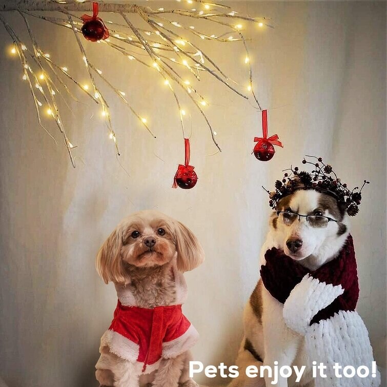 Bed bath and beyond dog clothes discount