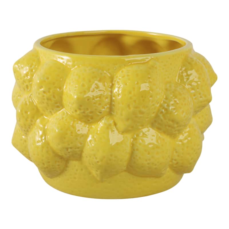 Textured Stoneware Ceramic Planter with Sculpted Bulbous Design