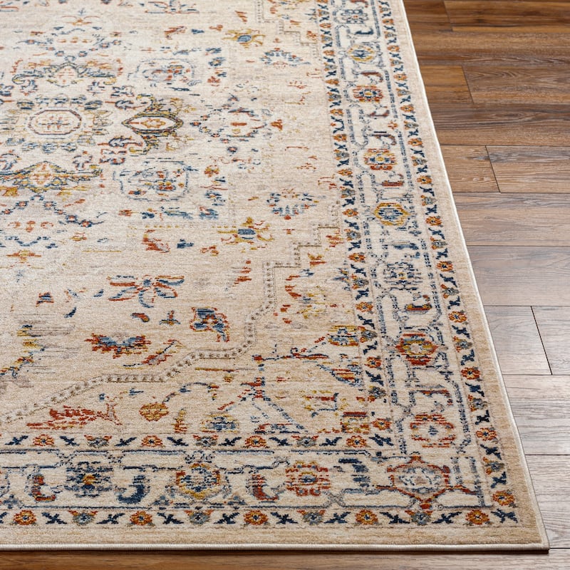 Niengold Traditional Medallion Area Rug