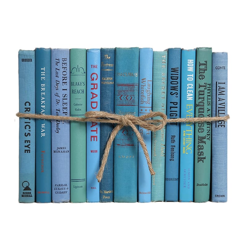 Books Blue Decorative Accessories: Vintage Island ColorPak