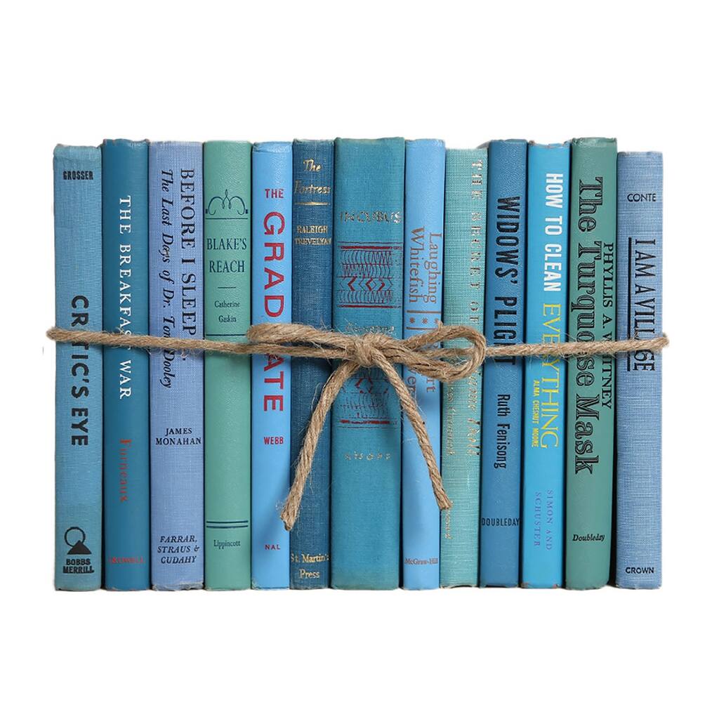 Books Blue Decorative Accessories: Vintage Island ColorPak