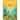 Peaceful Tropics by Kristian Gallagher Wood Framed Wall Art Print - Svelte Polished Gold