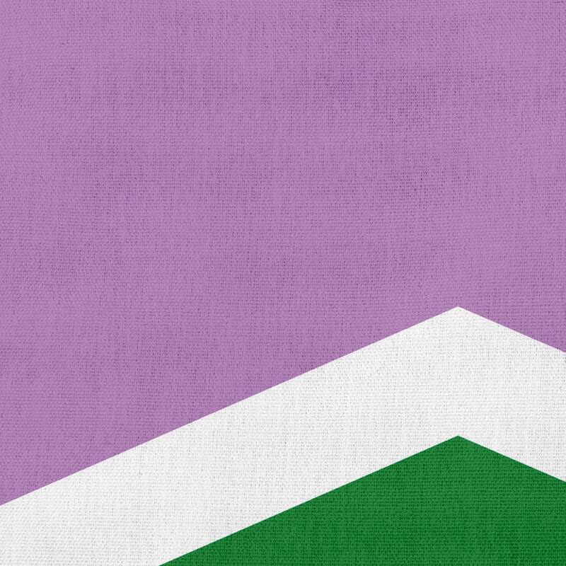 Pride Chevron Outdoor Throw Pillow