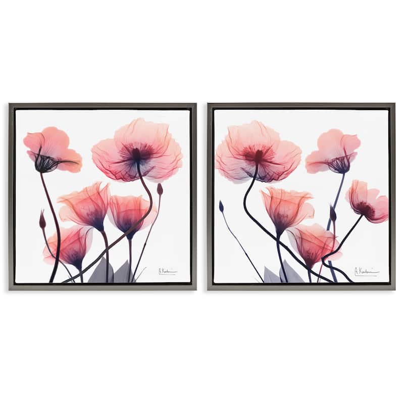 Stupell Various Faded Pink Flowers Framed Floater Canvas Wall Art Design By Albert Koetsier (Set of 2) - 25 x 25 - Grey