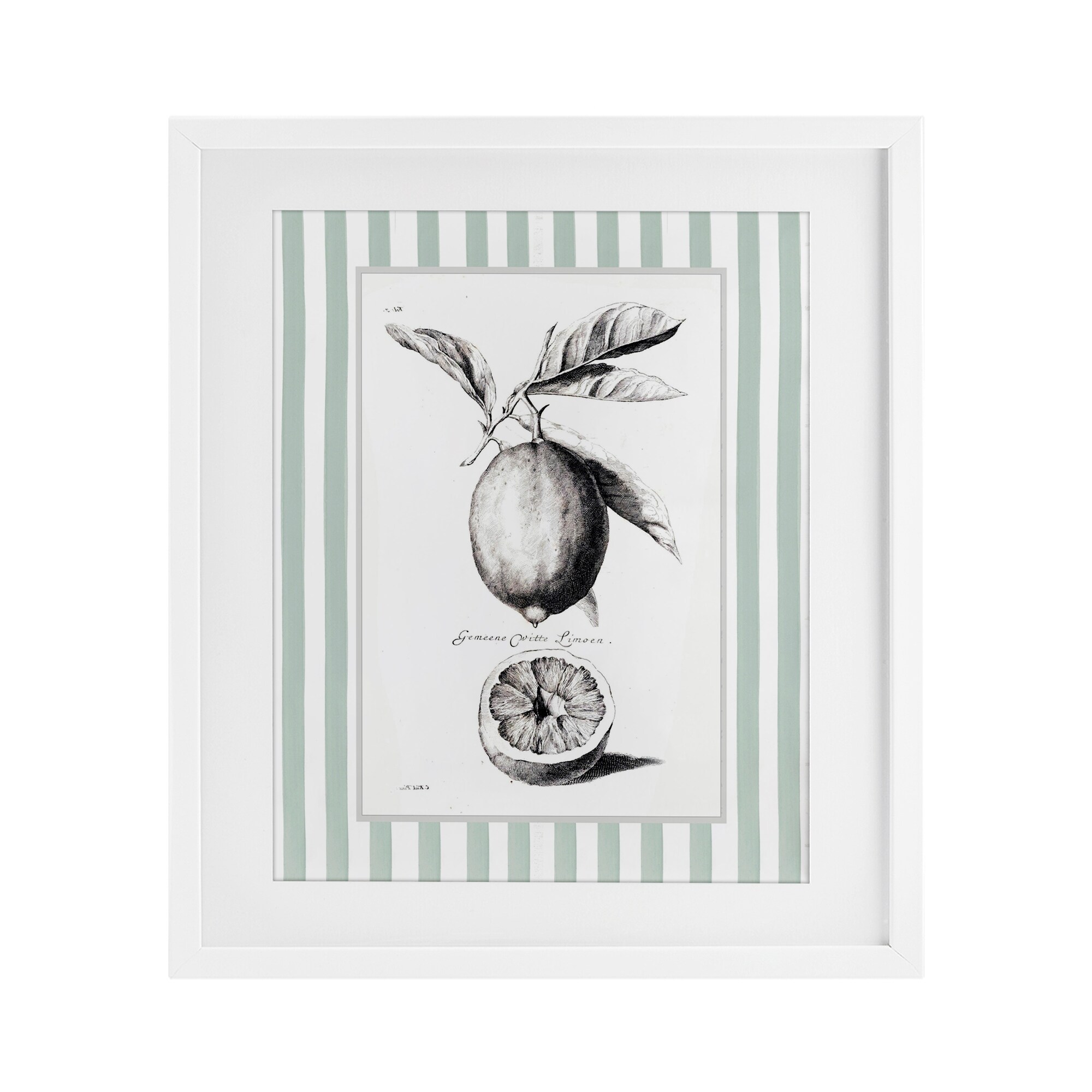 Vintage Lemon Striped Border Lettered and Lined