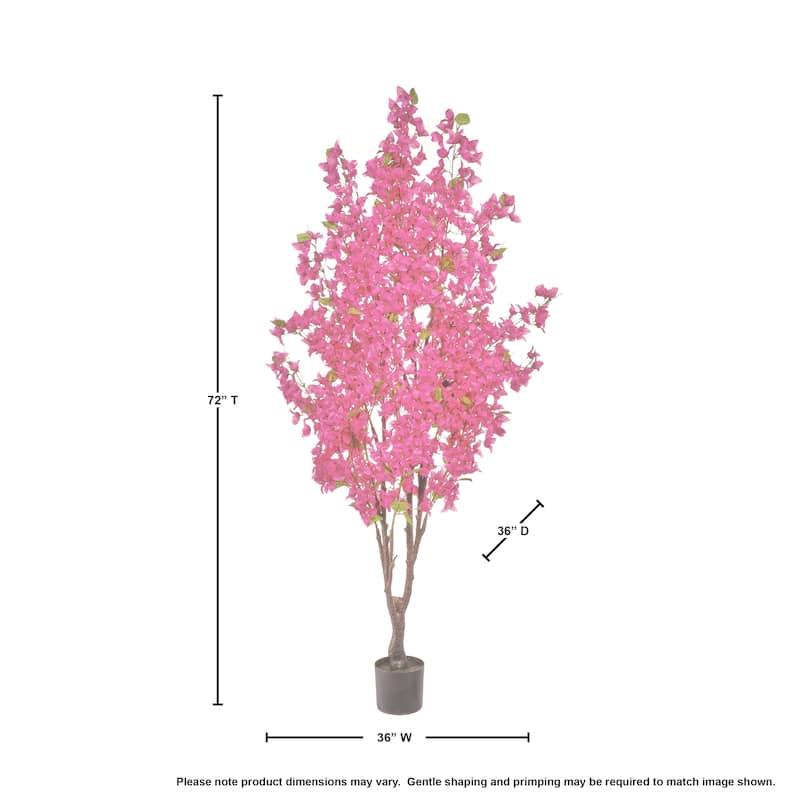 Bougainvillea Tree 6'