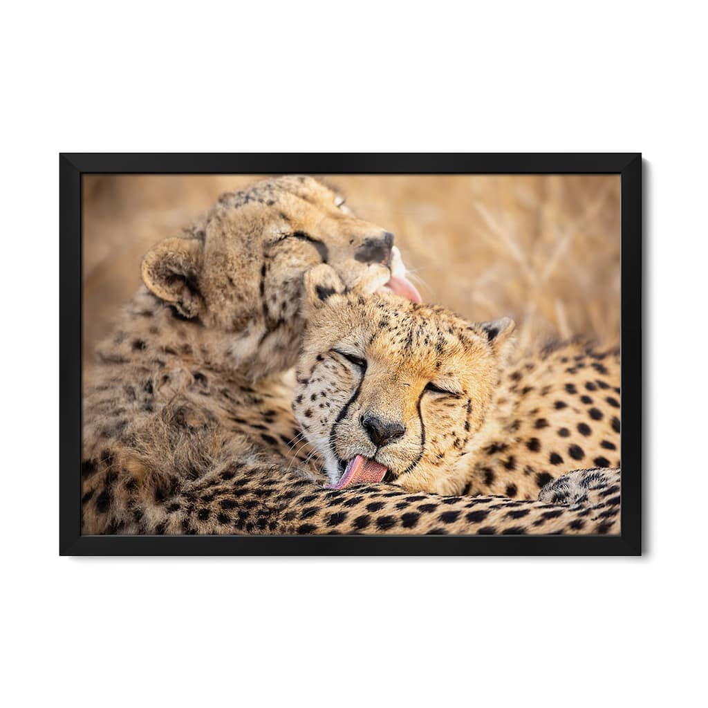 Brother'S Premium Framed Poster by Amnon Eichelberg