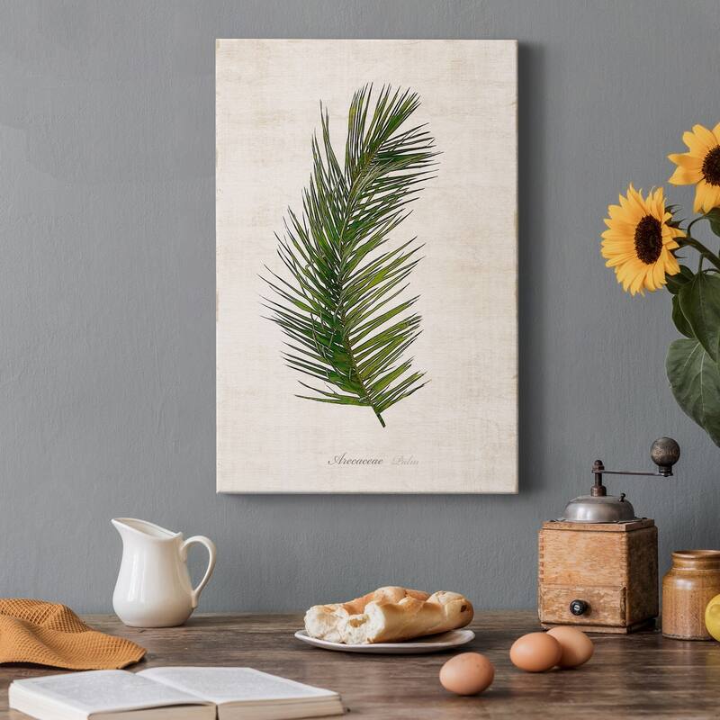 Palm Botanical II Premium Gallery Wrapped Canvas - Ready to Hang