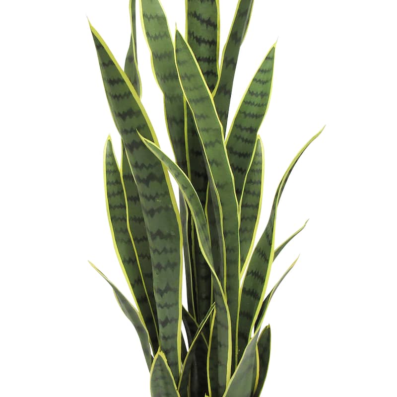 Artificial Sansevieria Snake Plant in Black Pot