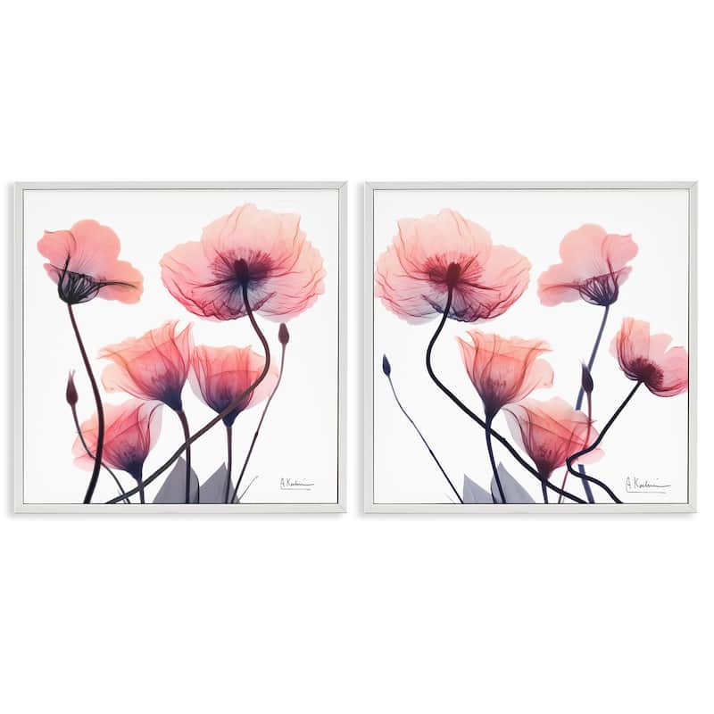 Stupell Various Faded Pink Flowers Framed Giclee Art Design By Albert Koetsier (Set of 2) - 12 x 12 - White